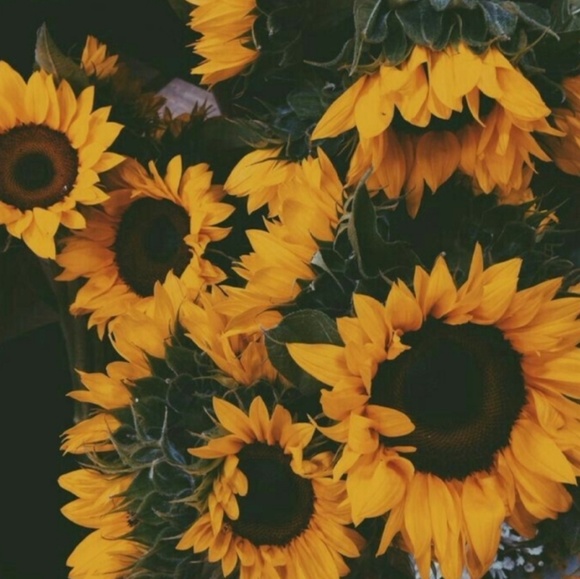 Meet your Posher, Kaelyn - Picture 1 of 1